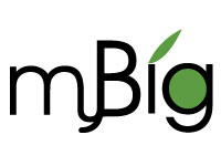 MYBIG SDN BHD