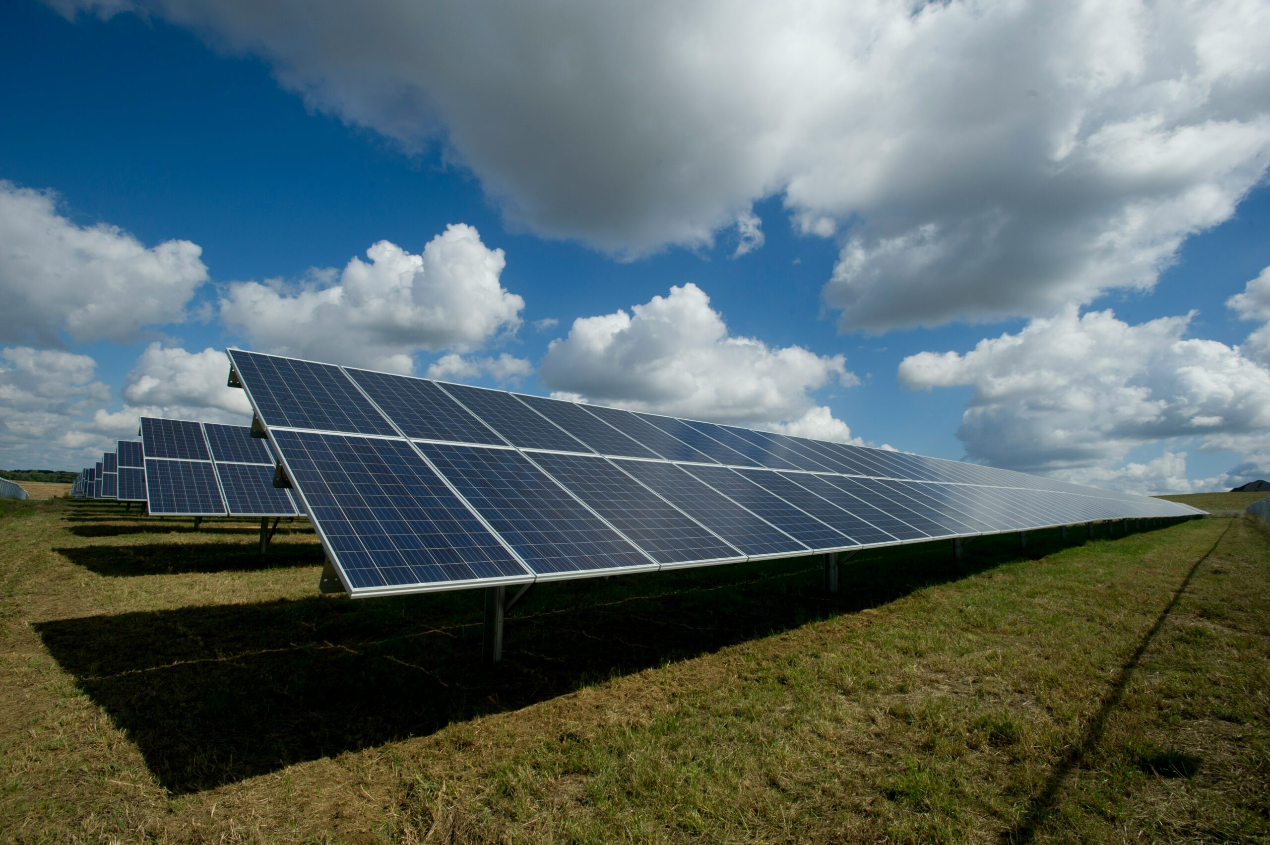 Green Asset Management